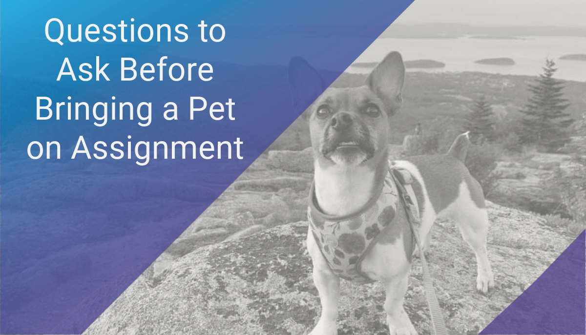 Questions to Ask Before Bringing a Pet on Assignment
